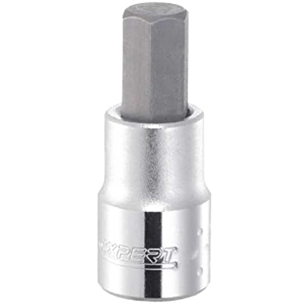 Britool Expert 12 Drive Hexagon Socket Bit 19mm