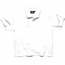 Dickies Mens Short Sleeve Polo Shirt White 2XL