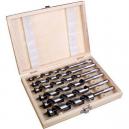 DART DABSET236 6 PIECE WOOD AUGER BIT SET 230MM