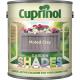 Cuprinol Garden Shades Exterior Wood Protector Muted Clay 1 Litre