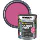 Ronseal General Purpose Garden Paint Pink Jasmine 250ml