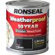 Ronseal Weatherproof 10 Year Exterior Wood Paint Black Gloss 750ml